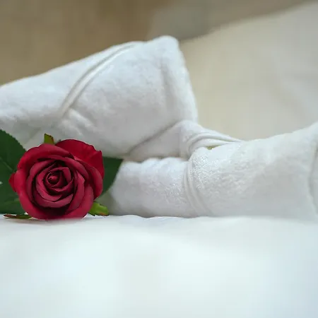 Apartment Evasion Chic, Et Sauna Sous Les Toits Nancy