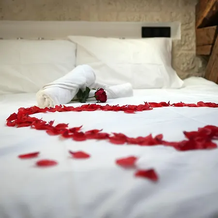 Apartment Evasion Chic, Et Sauna Sous Les Toits Nancy