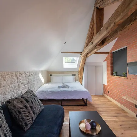 アパート Evasion Chic, Et Sauna Sous Les Toits ナンシー