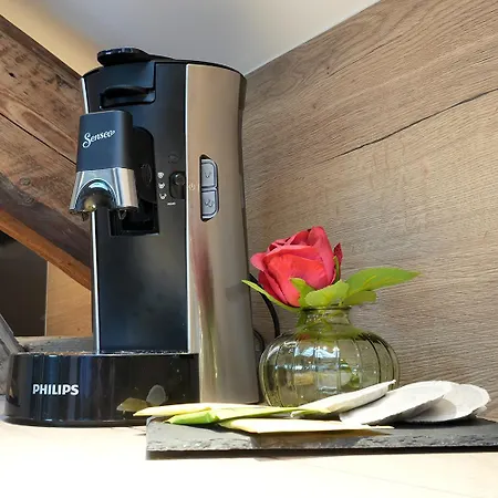 Evasion Chic, Et Sauna Sous Les Toits Nancy