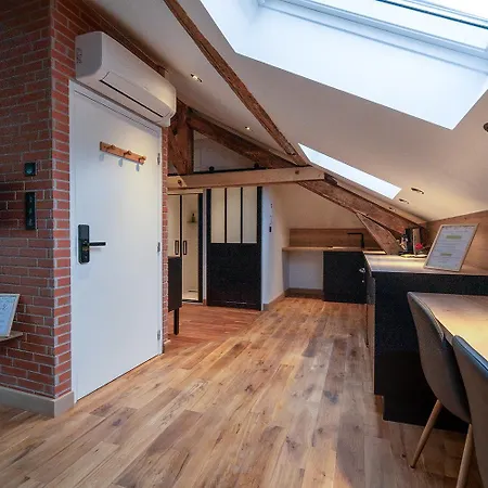 Apartment Evasion Chic, Et Sauna Sous Les Toits Nancy