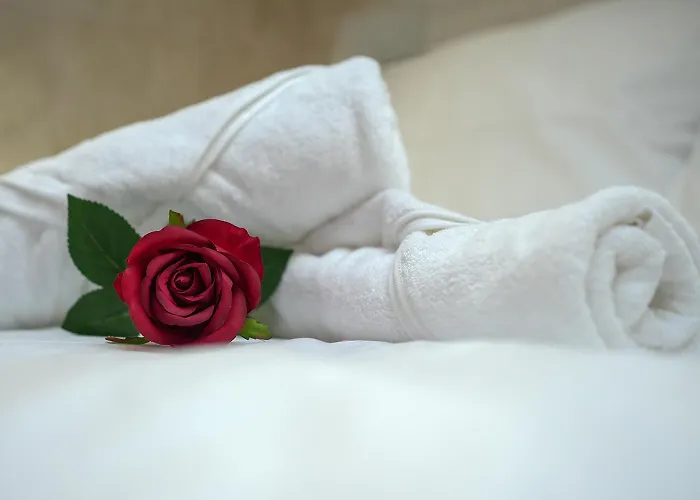 Apartament Evasion Chic, Et Sauna Sous Les Toits Nancy