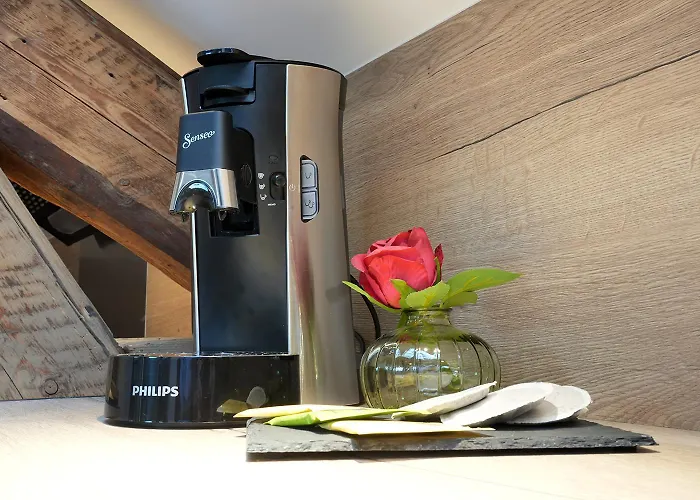 Evasion Chic, Et Sauna Sous Les Toits Nancy